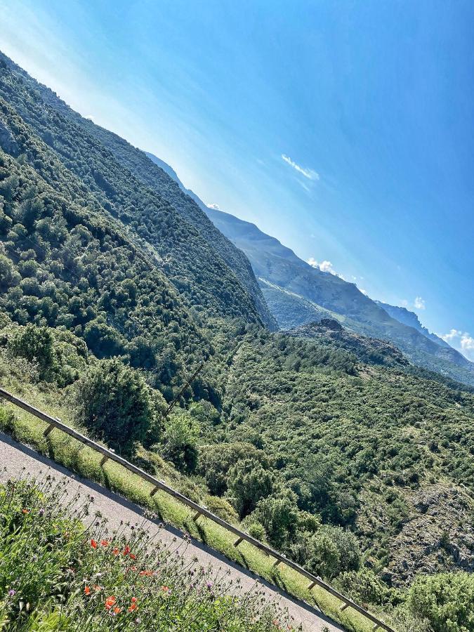 Bed and Breakfast U Pasturellu Pioggiola Exterior foto